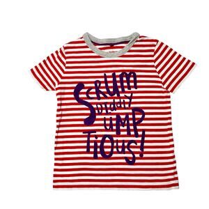 Mini Boden Roald Dahl Graphic Tee Size 4/5